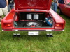 P1010008.JPG